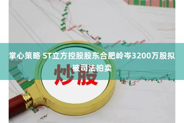 掌心策略 ST立方控股股东合肥岭岑3200万股拟被司法拍卖