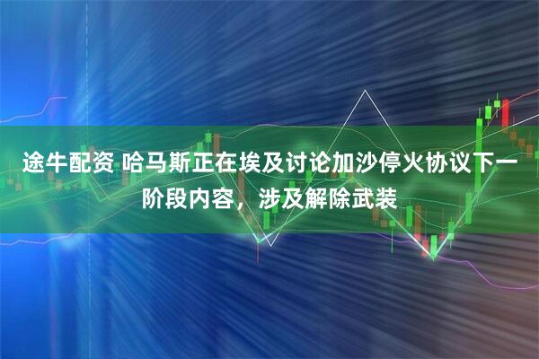 途牛配资 哈马斯正在埃及讨论加沙停火协议下一阶段内容，涉及解除武装