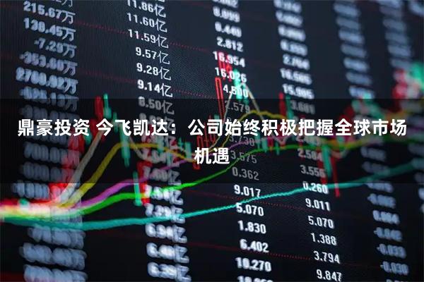鼎豪投资 今飞凯达：公司始终积极把握全球市场机遇