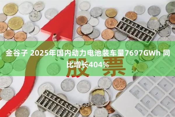 金谷子 2025年国内动力电池装车量7697GWh 同比增长404%